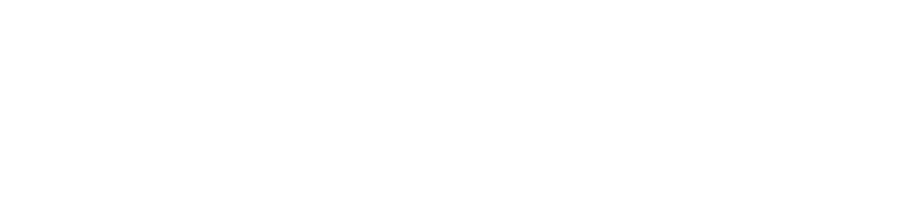 StellaOperations Logo